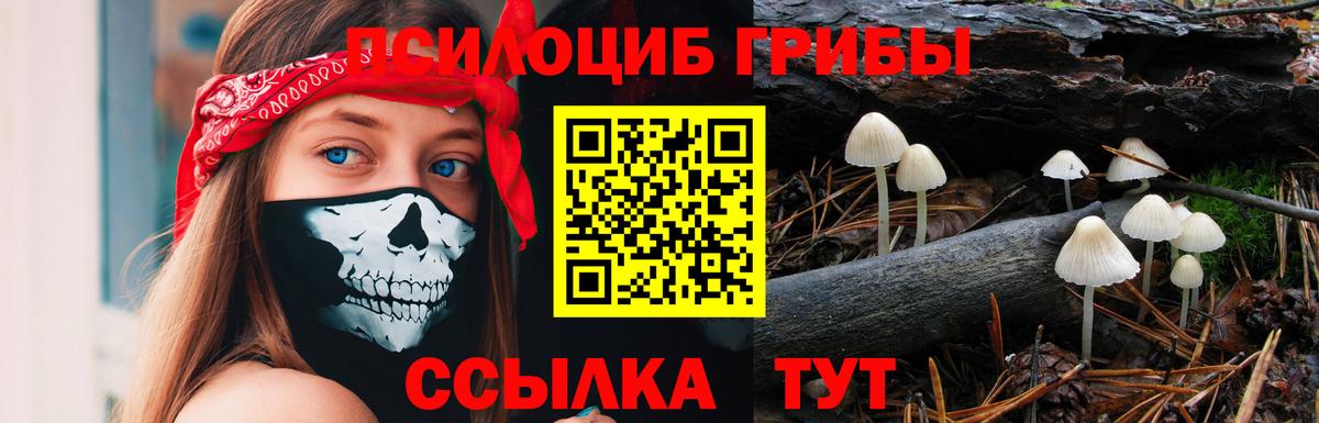 Псилоцибиновые грибы прущие грибы  Вход с VPN  Домодедово 